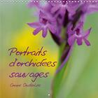 Couverture du livre « Portraits d orchidees sauvages calendrier mural 2018 300 300 - les plus belles des fleurs cal » de Oosterlee C aux éditions Calvendo