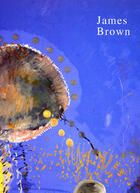 Couverture du livre « James brown » de James Brown aux éditions Galerie Lelong