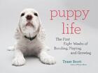 Couverture du livre « Puppy life » de Traer Scott aux éditions Princeton Architectural