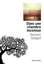 Couverture du livre « Dans une chambre inconnue » de Damon Galgut aux éditions Editions De L'olivier