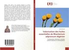 Couverture du livre « Valorisation des huiles essentielles de rhanterium adpressum algerien - composition chimique, activi » de Elhouiti Fatiha aux éditions Editions Universitaires Europeennes