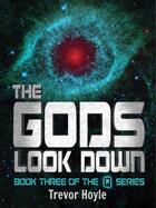 Couverture du livre « The Gods Look Down » de Hoyle Trevor aux éditions Quercus Publishing Digital