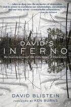 Couverture du livre « David's Inferno » de Blistein David aux éditions Hartherleigh Press Digital