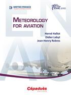 Couverture du livre « Meteorology for aviation » de Herve Hallot et Didier Labyt et Jean-Henry Robres aux éditions Cepadues