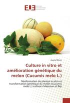 Couverture du livre « Culture in vitro et amelioration genetique du melon (cucumis melo l.) » de Rhimi Awatef aux éditions Editions Universitaires Europeennes