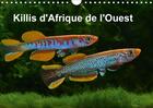 Couverture du livre « Killis d afrique de l ouest calendrier mural 2018 din a4 hor - poissons colores calendrier me » de Pohlmann R aux éditions Calvendo