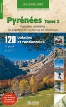 Couverture du livre « Pyrénées t.3 ; Pyrénées centrales » de Olivier Martin aux éditions Glenat