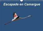 Couverture du livre « Escapade en Camargue (Calendrier mural 2020 DIN A4 horizontal) ; Observons la faune camarguaise dans toute sa splendeur (Calendrier mensuel, 14 Pages ) » de Martine Julien aux éditions Calvendo