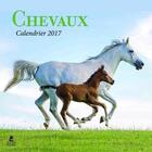 Couverture du livre « Calendrier chevaux 2017 » de  aux éditions Place Des Victoires
