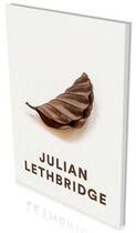 Couverture du livre « Julian Lethbridge » de Robert Storr aux éditions Snoeck