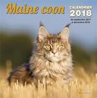 Couverture du livre « Maine coon (édition 2018) » de  aux éditions Artemis