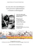 Couverture du livre « Au Coeur des sites mésolithiques : Entre processus taphonomiques et données archéologiques. Hommages au professeur André Thévenin » de Christophe Cupillard aux éditions Pu De Franche Comte