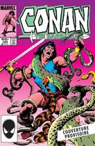 Couverture du livre « Conan le Barbare : L'intégrale 1984 (T17) » de John Buscema et Michael Fleischer aux éditions Panini