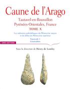 Couverture du livre « Caune de l'Arago - tome X Tautavel-en-Roussilon, Pyrénées-Orientales, France - Fascicule 1 » de Henry De Lumley aux éditions Cnrs