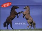 Couverture du livre « L'agenda-calendrier ; chevaux 2012 » de  aux éditions Hugo Image