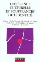 Couverture du livre « Differences Culturelle Et Souffrances De L'Identite » de Rene Kaes aux éditions Dunod