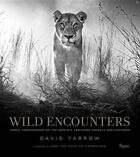 Couverture du livre « Wild encounters ; iconic photographs of the world's vanishing animals and cultures » de David Yarrow aux éditions Rizzoli