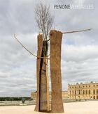 Couverture du livre « Guiseppe Penone » de  aux éditions Reunion Des Musees Nationaux