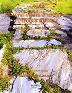 Couverture du livre « Les alpes graies et poenines a l'epoque romaine (3e édition) » de Andre Puejean aux éditions Nombre 7