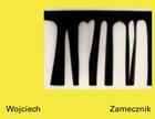 Couverture du livre « Wojciech Zamecznik » de  aux éditions Noir Sur Blanc