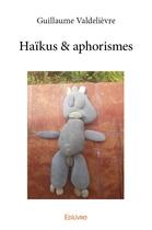 Couverture du livre « Haïkus & aphorismes » de Valdelievre G. aux éditions Edilivre