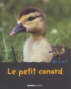 Couverture du livre « Le petit canard » de Anne Royer aux éditions Mango