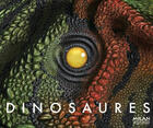 Couverture du livre « Dinosaures » de Giroldi Cecile aux éditions Milan