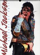 Couverture du livre « Calendrier mural Michael Jackson 2011 » de  aux éditions Hugo Image