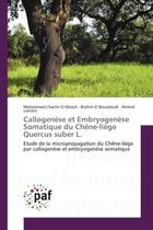 Couverture du livre « Callogenese et embryogenese Somatique du Chène-liège Quercus suber L. : Etude de la micropropagation du Chène-liège par callogenèse et embryogenèse somatique » de Kbiach, , Mohammed aux éditions Editions Universitaires Europeennes