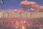 Couverture du livre « New york, new york » de Berenholtz aux éditions Citadelles & Mazenod