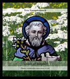 Couverture du livre « Saints et simples ; plantes médicinales entre terre et ciel » de Yves Vanopdenbosch aux éditions Amyris