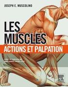 Couverture du livre « Les muscles ; actions et palpation » de Joseph E. Muscolino aux éditions Elsevier-masson