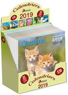 Couverture du livre « Boîte 50 ex calendriers 2019 » de  aux éditions Artemis