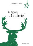 Couverture du livre « Le voyage de Gabriel » de Emmanuel Pons aux éditions Itak