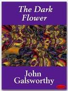 Couverture du livre « The Dark Flower » de John Galsworthy aux éditions Ebookslib