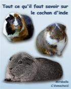 Couverture du livre « Tout ce qu'il faut savoir sur le cochon d'inde » de Mirabelle C. Vomscheid aux éditions Books On Demand