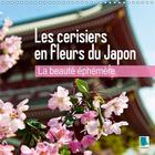 Couverture du livre « La beaute ephemere les cerisiers en fleurs du japon calendri - les fleurs du printemps calend » de Calvendo aux éditions Calvendo