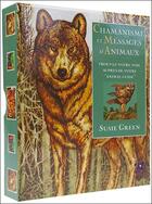 Couverture du livre « Chamanisme et messages d'animaux ; coffret » de Susie Green aux éditions Vega