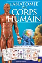 Couverture du livre « L'anatomie du corps humain : 24 grandes planches décrivant les différentes parties du corps » de  aux éditions Macro Editions