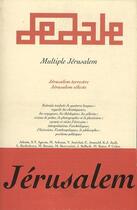 Couverture du livre « Multiple Jérusalem (édition 2015) » de Abdelwahab Meddeb aux éditions Maisonneuve Larose