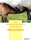 Couverture du livre « Des situations-problèmes en élevage de chevaux » de Arne aux éditions Educagri
