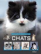 Couverture du livre « Encyclopédie essentielle des chats » de  aux éditions Komet