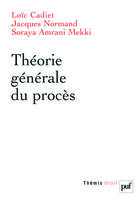 Couverture du livre « Théorie générale du procès » de Cadiet Loic / Norman aux éditions Puf