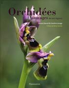 Couverture du livre « Orchidées sauvages de nos régions » de Caroline Lesage et Laurent Bessol aux éditions Flammarion
