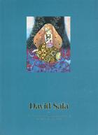 Couverture du livre « Portfolio David Sala » de David Sala aux éditions Casterman
