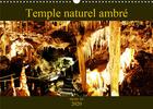 Couverture du livre « Temple naturel ambré (édition 2020) » de Carine Dito aux éditions Calvendo