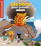Couverture du livre « Les docs pour grandir ; les volcans » de Ilaria Falorsi et Aurelie Desfour aux éditions Lito