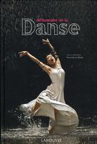 Couverture du livre « Dictionnaire de la danse » de Philippe Le Moal aux éditions Larousse