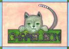 Couverture du livre « Chameleon » de Larene/Pierquet aux éditions Le Voyageur