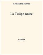 Couverture du livre « La tulipe noire » de Alexandre Dumas aux éditions Bibebook